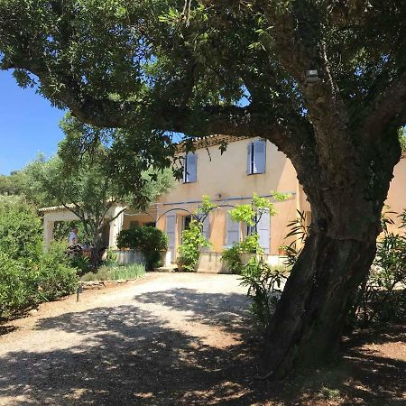 Le Mas Amore Bed and Breakfast Gassin Buitenkant foto