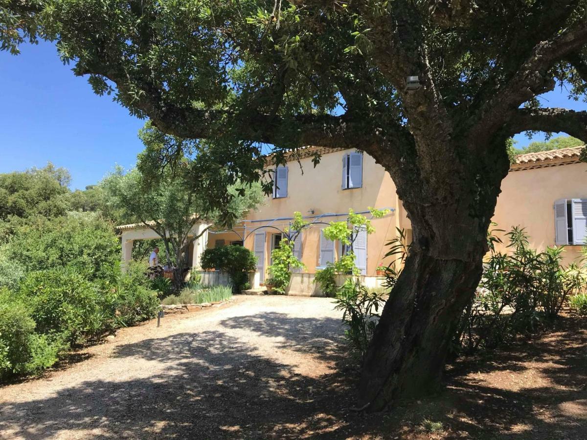 Le Mas Amore Bed and Breakfast Gassin Buitenkant foto